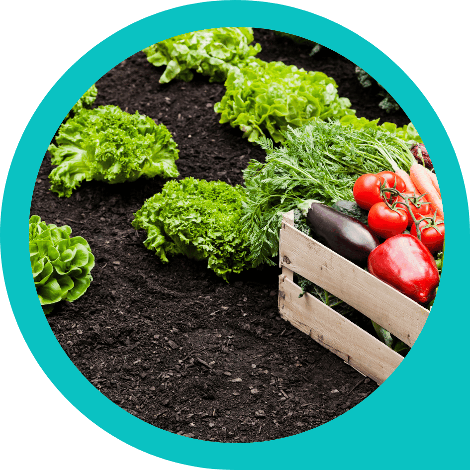 IPARD III Tarım ve Balıkçılık Ürünlerinin İşlenmesi ve Pazarlanması (103)