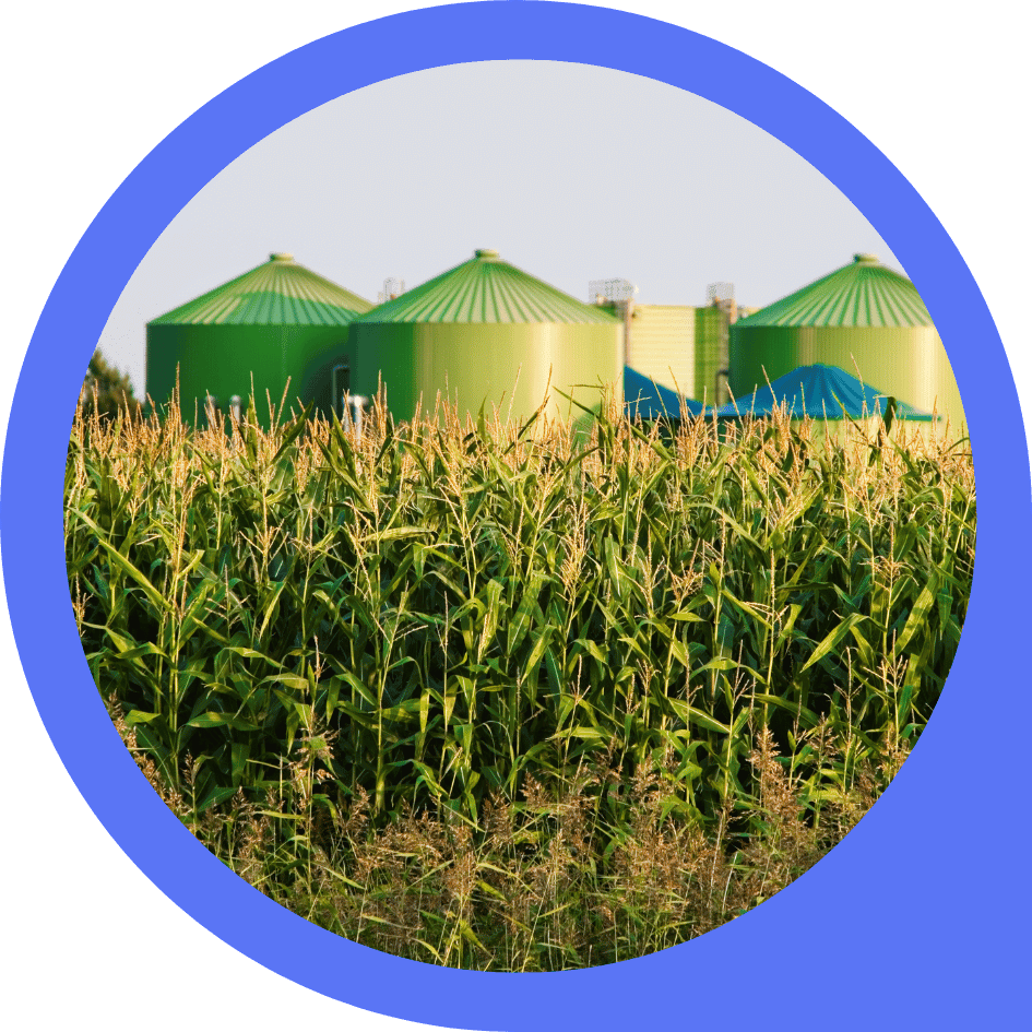 IPARD III: Tarımsal İşletmelerin Fiziki Varlıklarına Yönelik Yatırımlar (101)